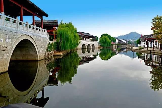 动物帮帮忙保卫家园